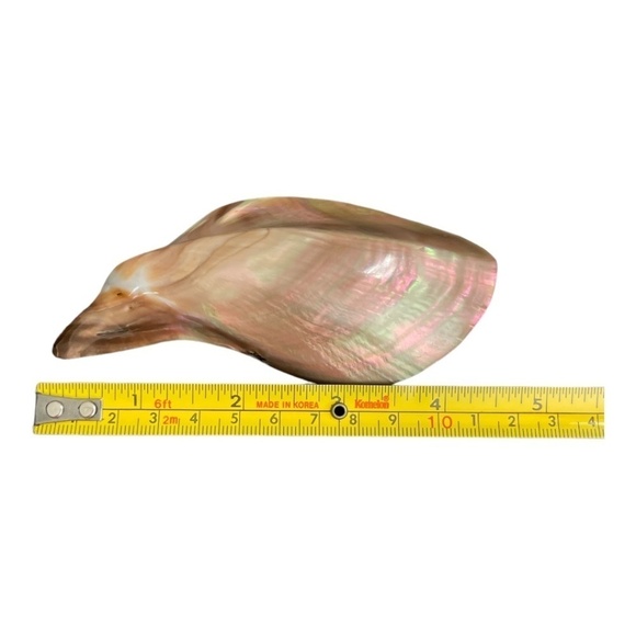 Sea Shell handmade Belt Buckle - Picture 6 of 8